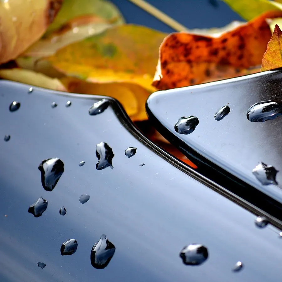 Blog de detallado automotriz: se puede pulir un parabrisas rayado - gotas de agua perladas sobre pintura negra con sellador